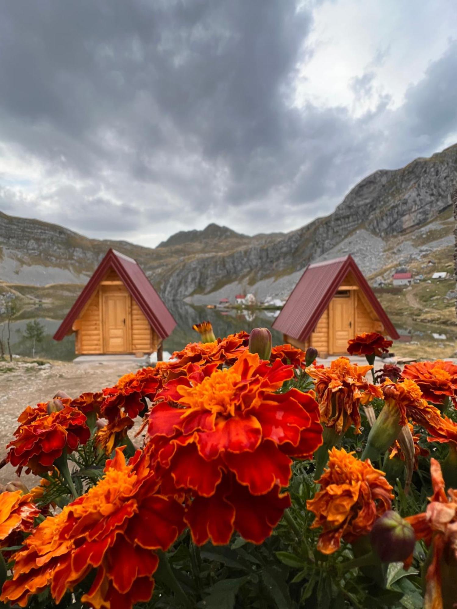 Rural Household Minic - Kapetanovo Jezero Hostel Kolašin Kültér fotó