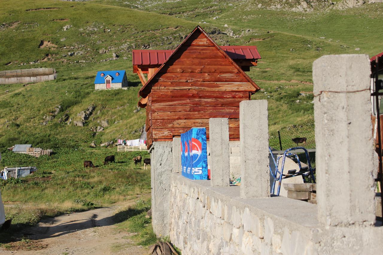 Rural Household Minic - Kapetanovo Jezero Hostel Kolašin Kültér fotó